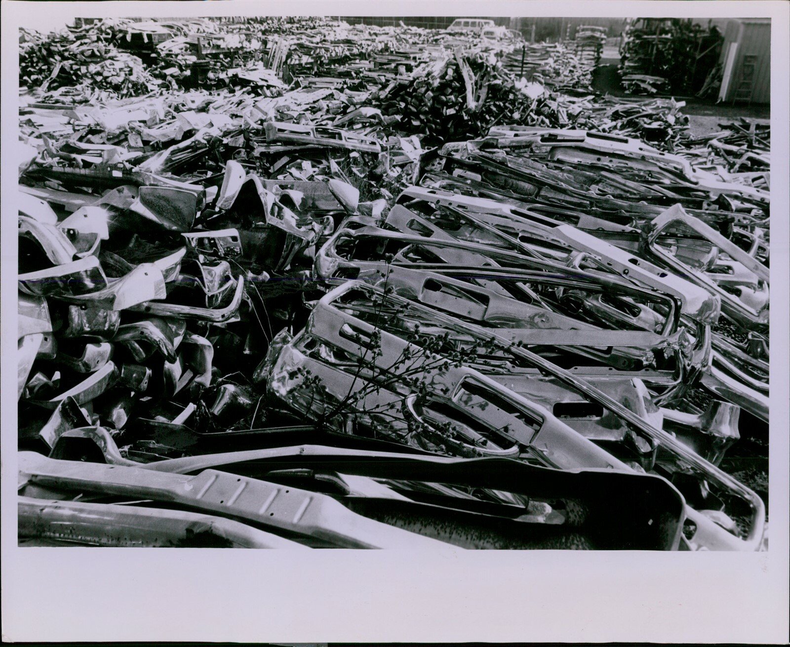 LG812 1973 Original Pete Liddell Photo SCRAP METAL Car Parts Auto Salvage Yard