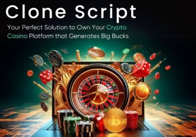 Stake-clone-script-Perfect-solution-to-casino-platform